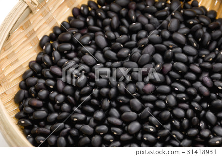 Black bean (cowpea) in Okinawa Miyakojima 31418931