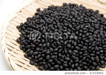 Black bean (cowpea) in Okinawa Miyakojima 31418942