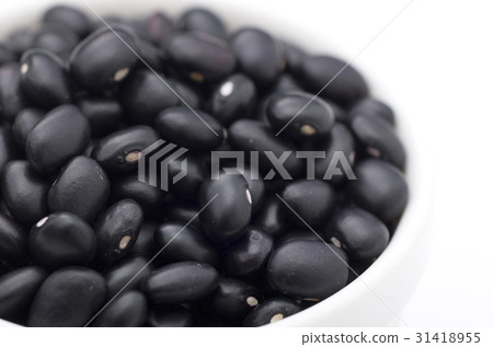 Black bean (cowpea) in Okinawa Miyakojima 31418955