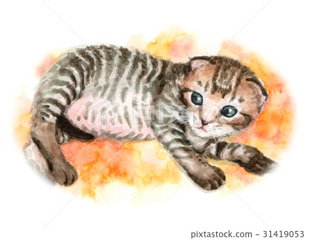 模擬水彩棕色虎斑小貓 模擬水彩棕色虎斑小貓 31419053