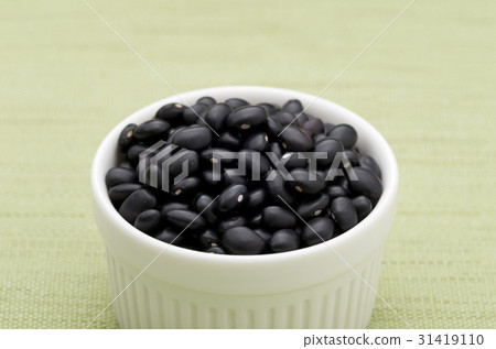 Black bean (cowpea) in Okinawa Miyakojima 31419110