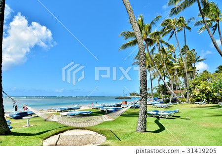 Holidays in Hawaii Holidays in Hawaii 31419205