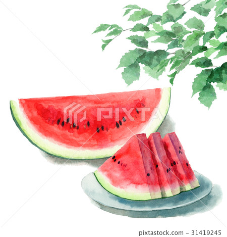 模擬水彩兩種切西瓜和樹枝樹葉 31419245