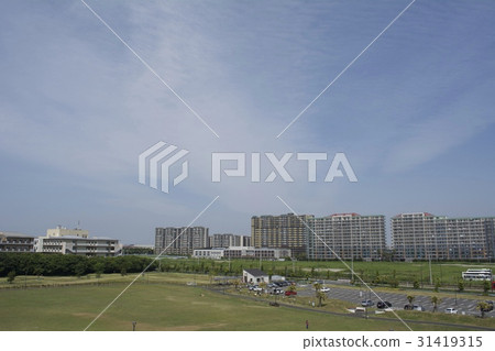 浦安市六月 31419315