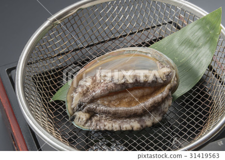 Fresh abalone 31419563