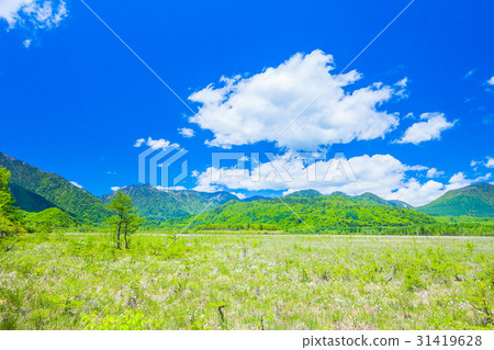 Senkogahara in Nikko Spring (Mt. Mitake, Onsagatake) Senkogahara in Nikko Spring (Mt. Mitake, Onsagatake) 31419628