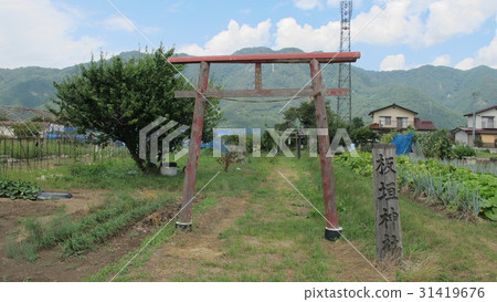 長野板垣神社 31419676