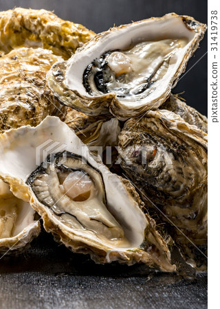 Raw oysters  31419738