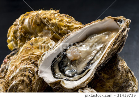 Raw oysters Raw oysters 31419739