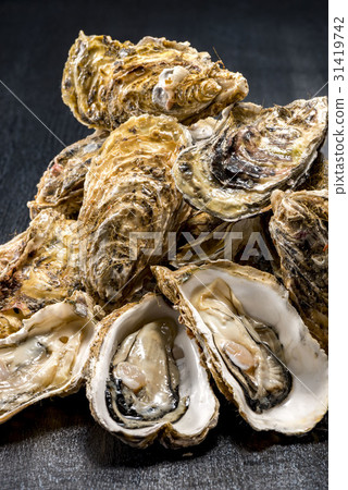 生蠔 31419742