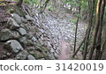 Kagawa Terada Castle 31420019
