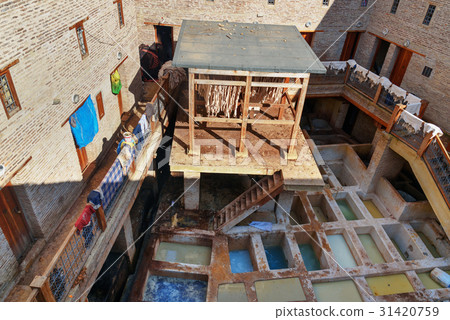 Leather traditional tannery in Fez, Morocco 31420759