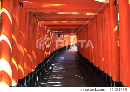 伏見稻荷神社Torigai 31421069