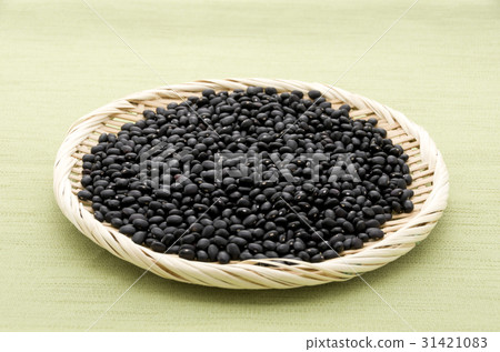 Black bean (cowpea) in Okinawa Miyakojima 31421083