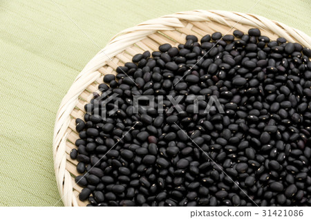 Black bean (cowpea) in Okinawa Miyakojima 31421086