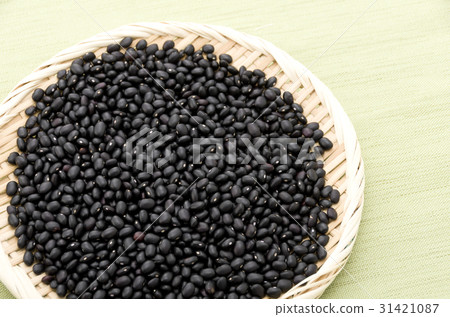Black bean (cowpea) in Okinawa Miyakojima 31421087