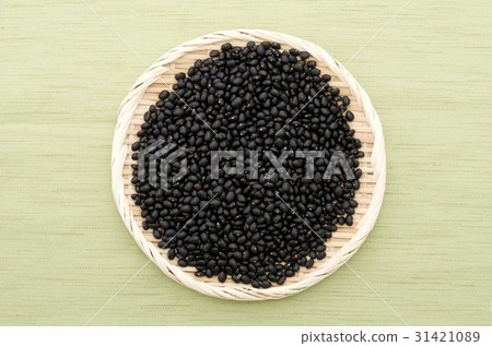 Black bean (cowpea) in Okinawa Miyakojima 31421089