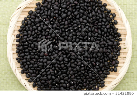 黑豆(豇豆)在沖繩Miyakojima 黑豆(豇豆)在沖繩Miyakojima 31421090