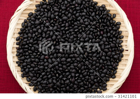 Black bean (cowpea) in Okinawa Miyakojima 31421101