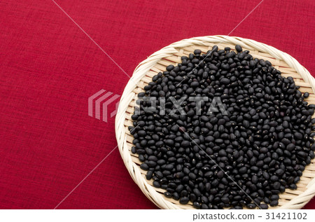 Black bean (cowpea) in Okinawa Miyakojima 31421102