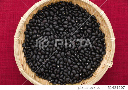 Black bean (cowpea) in Okinawa Miyakojima 31421207
