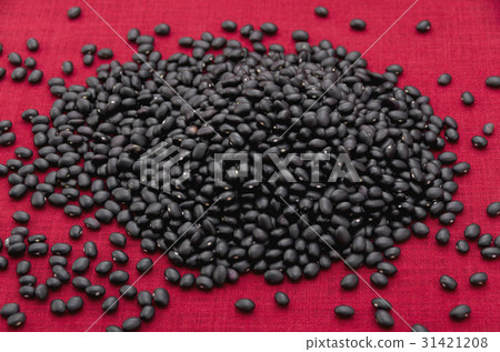 Black bean (cowpea) in Okinawa Miyakojima 31421208