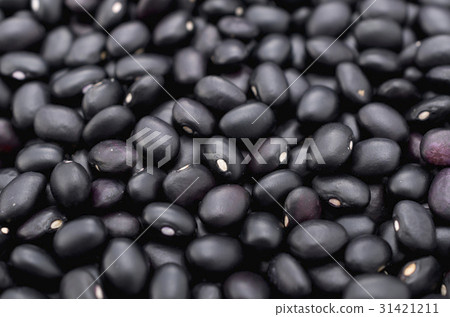 Black bean (cowpea) in Okinawa Miyakojima 31421211