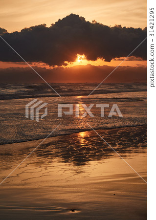 Shonan landscape Chigasaki coast 31421295