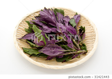 半田（水前寺蔬菜） 31421443