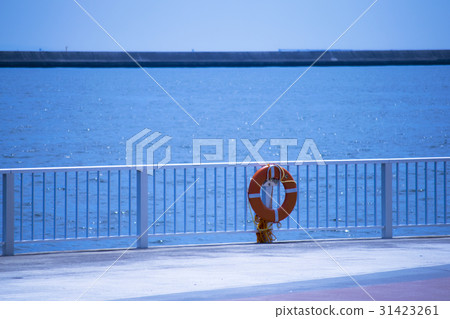 海邊漂浮 31423261