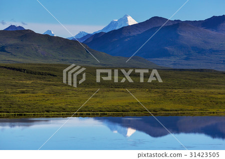 Mountains in Alaska 31423505