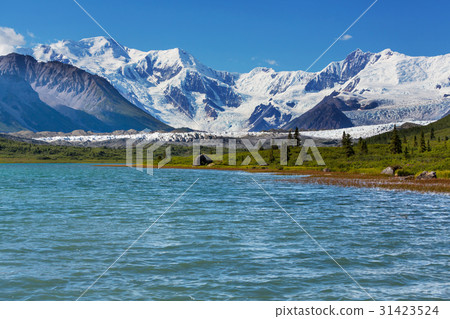 Wrangell Wrangell 31423524