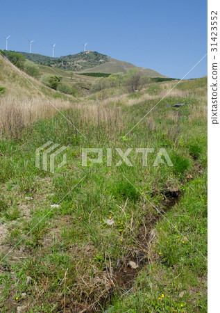 Hosono Takahara of Izo Natori and Mt. Sanshan 31423552