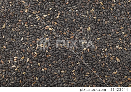 米粒黑色 31423944