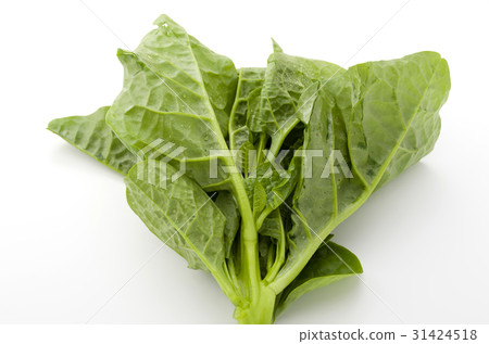 Tsurumurasaki 31424518