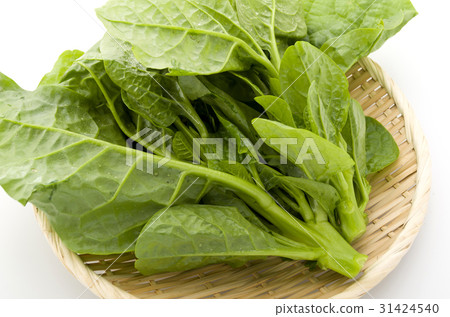 Tsurumurasaki 31424540