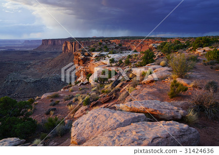 Canyonland National Park Canyonland National Park 31424636