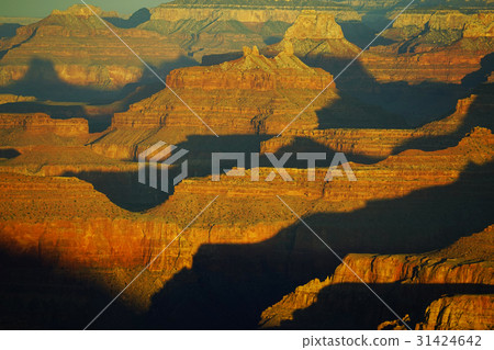 Grand Canyon  31424642