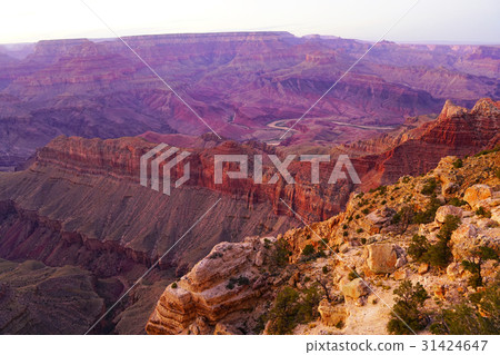 Grand Canyon Grand Canyon 31424647