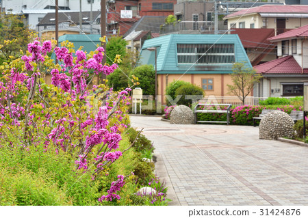 Yokohama · Toyoko flower green road Yokohama · Toyoko flower green road 31424876