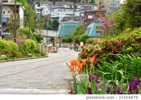 Yokohama · Toyoko flower green road 31424879