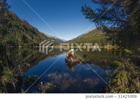 At the lake Ingeringsee in austria with blue sky At the lake Ingeringsee in austria with blue sky 31425009