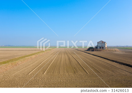 Rural Italian landscape from Po river lagoon. Rural Italian landscape from Po river lagoon. 31426013