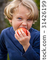 5 year old child eating an apple 31426199