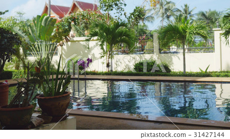 Stunning tropical beach resort with a swimming Stunning tropical beach resort with a swimming 31427144