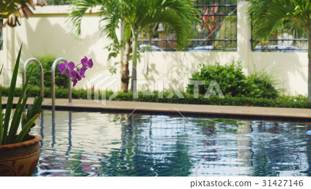 Beautiful tropical resort with a swimming pool Beautiful tropical resort with a swimming pool 31427146