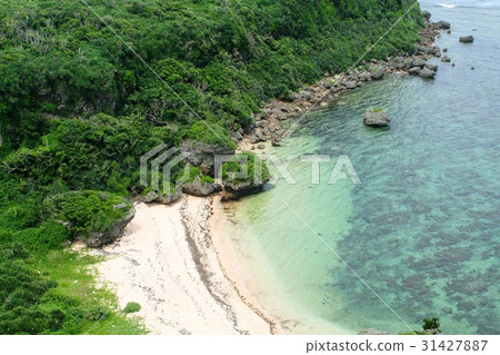 Fruit Banda Okinawa Fruit Banda Okinawa 31427887