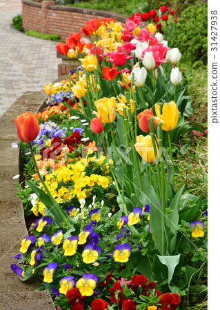 Yokohama · Toyoko flower green road Yokohama · Toyoko flower green road 31427938