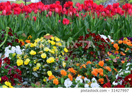 Nationwide Urban Greenery Yokohama Fair / Sorimachi Park Venue Nationwide Urban Greenery Yokohama Fair / Sorimachi Park Venue 31427997