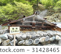 Oku-Nikko Yumoto Onsen Yubata 31428465